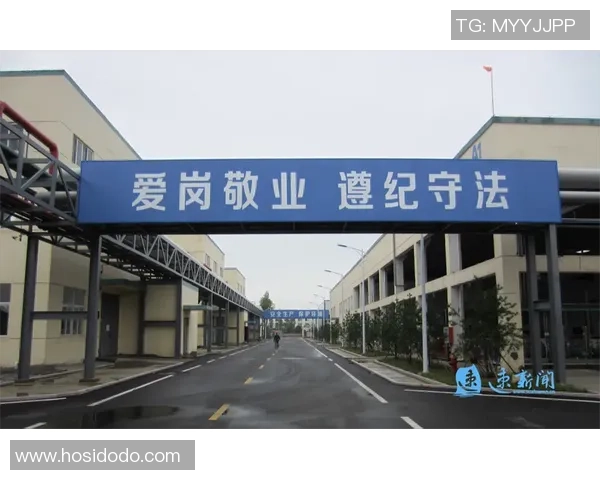 成都乒乓球队转型之路探析与未来发展展望